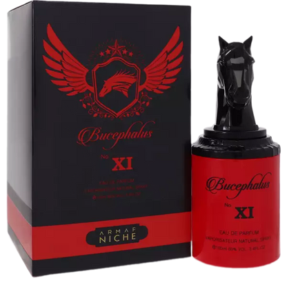 Bucephalus Xi Cologne