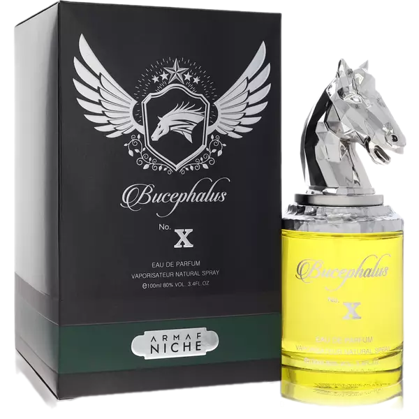 Bucephalus X Cologne