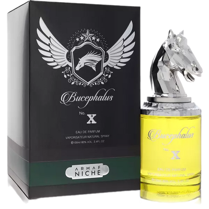 Bucephalus X Cologne